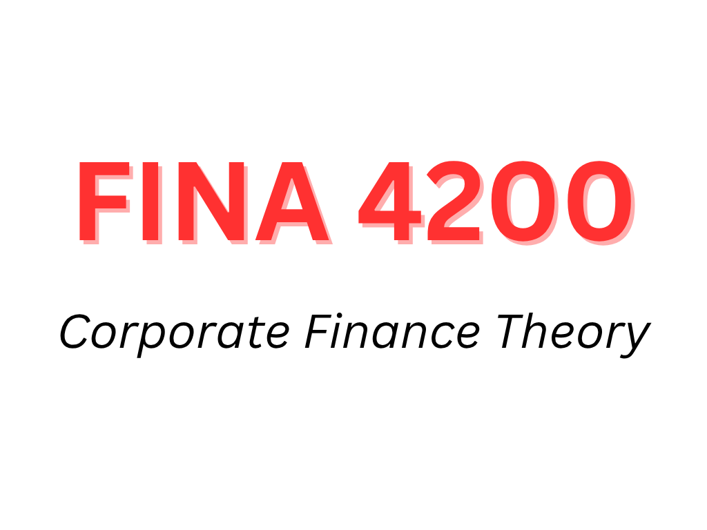 Corportate Finance Theory